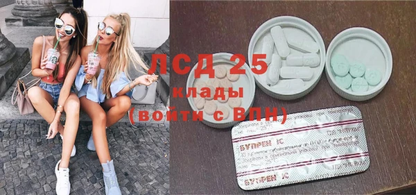 шишки Алексин