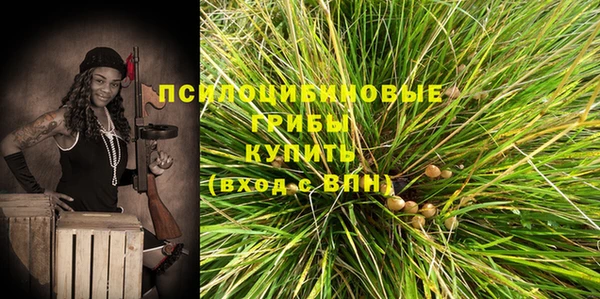 спиды Алзамай