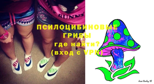 шишки Алексин