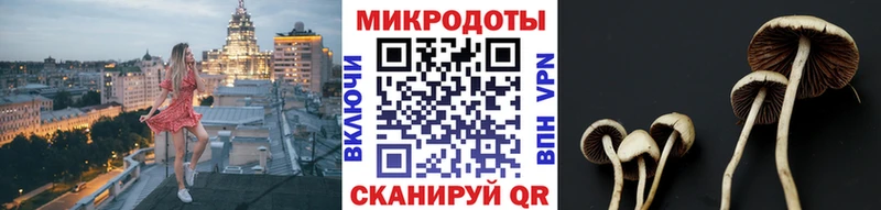Галлюциногенные грибы Cubensis kraken вход Ахтырский
