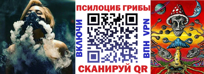 Псилоцибиновые грибы Psilocybe Ахтырский